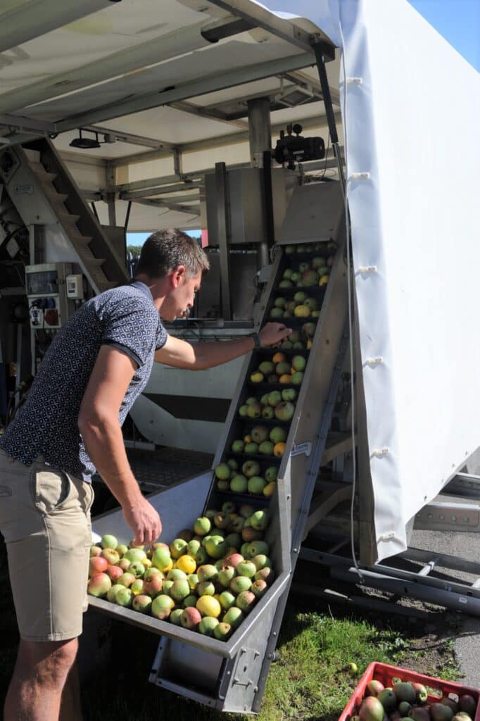 Un homme lave des pommes dans une grosse machine