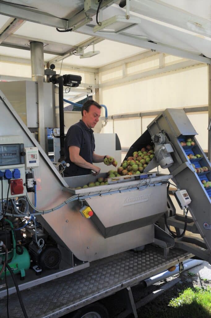 Un homme trie des pommes dans la presse de Pepipom