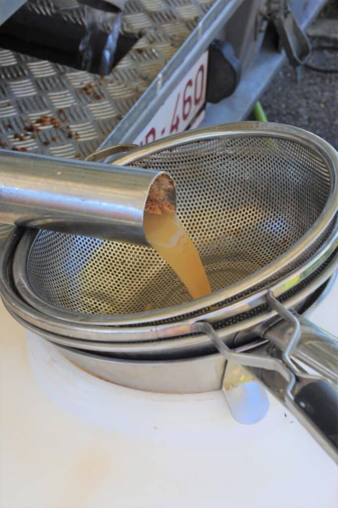 Le jus des pommes est filtré dans une casserole