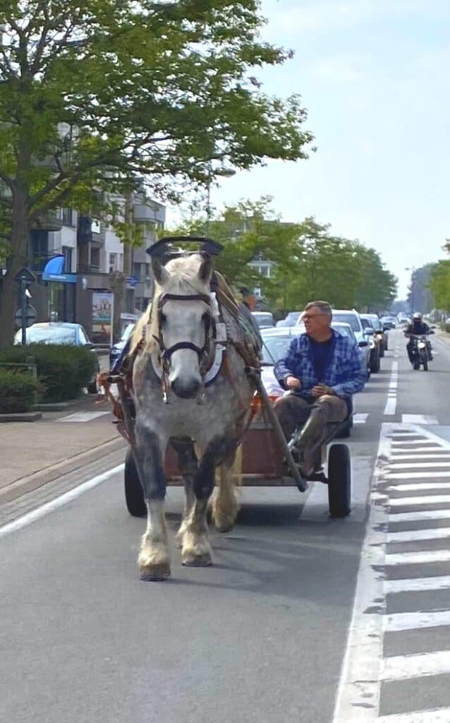 Johan assis sur sa charrette, avec son cheval qui le conduit sur la route. Derrière lui, une file de voitures