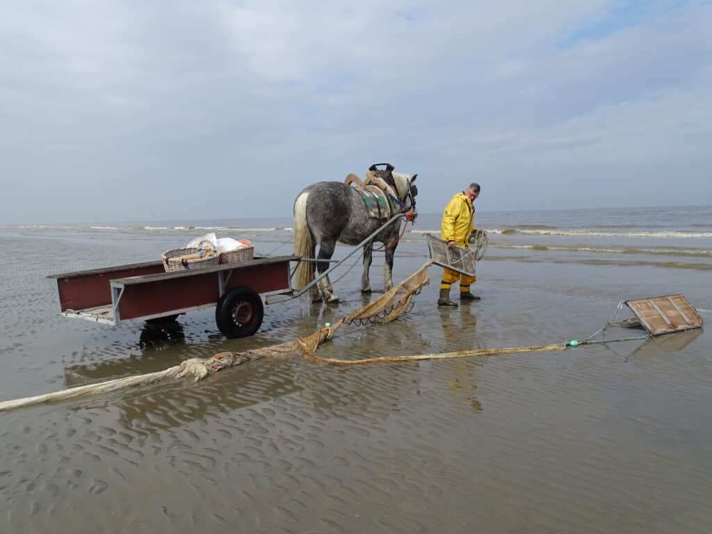 Johan portant une tenue de pluie jaune au bord de la plage avec son cheval