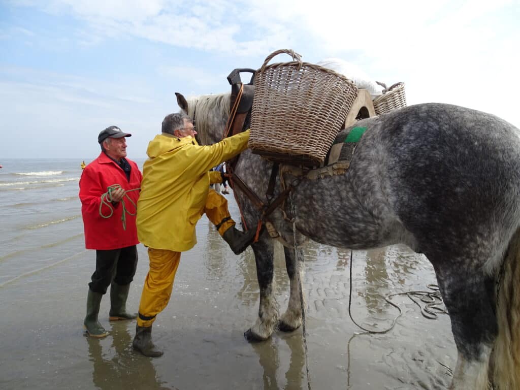 Johan qui monte sur son cheval en bord de plage