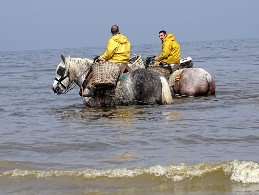 Johan et un ami, tous deux dans l'eau sur le chevaux