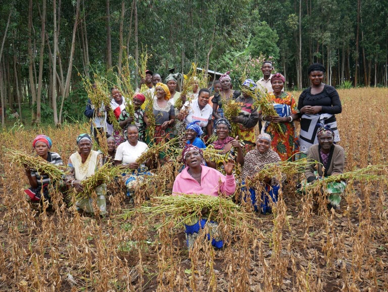 Des Congolais tenant des plantes dans un champ