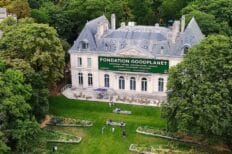 Château de Yann Arthus Bertrand entouré de pleins d'arbres verts