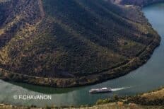 Vue d'en haut du fleuve Douro