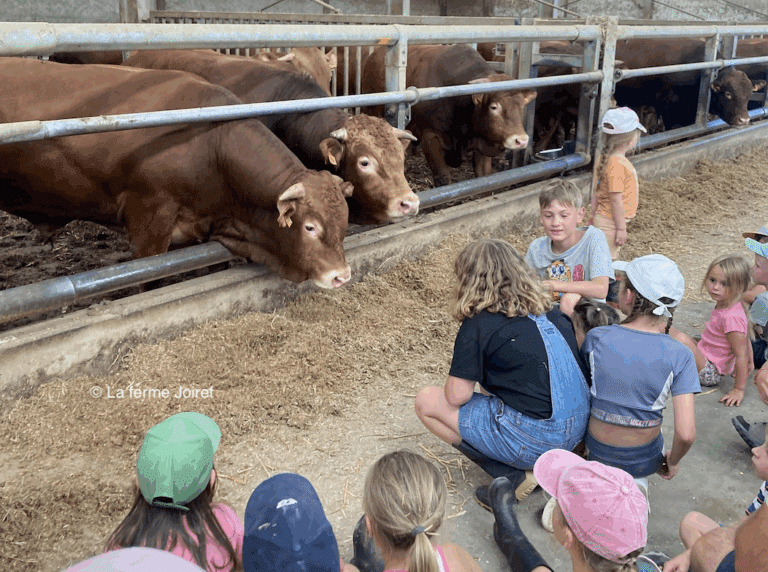 Des enfants sont assis dans la paille devant des vaches