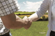 Deux personnes se serrant la main, devant un champ