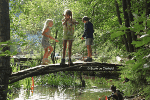 Des enfants jouent sur une branche d'arbre