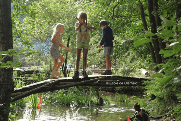 Des enfants jouent sur une branche d'arbre