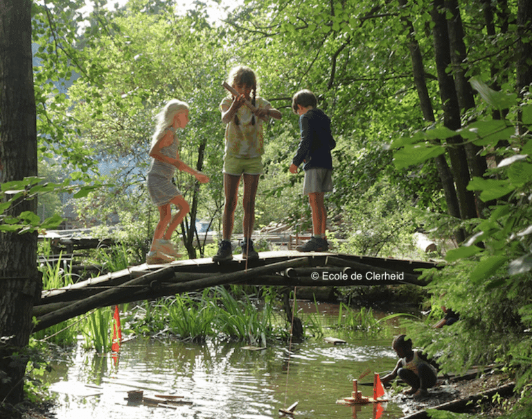 Des enfants jouent sur une branche d'arbre