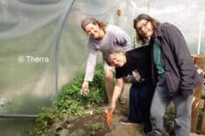 Plusieurs personnes dans une serre avec des plantes et de la terre