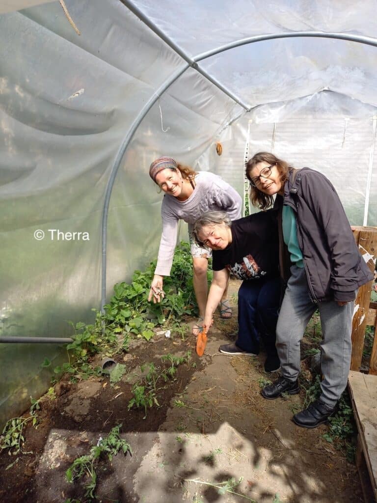 Plusieurs personnes dans une serre avec des plantes et de la terre